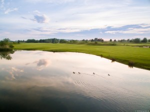 Gleidingen-See 5-310